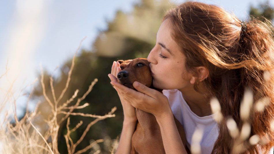 Comment améliorer le bien-être animal avec des gestes simples ?