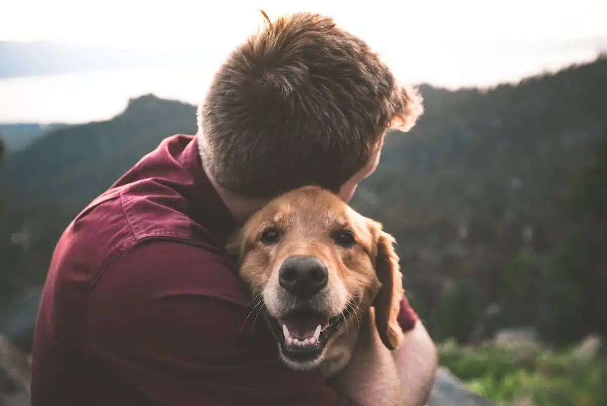Un chien et son maître