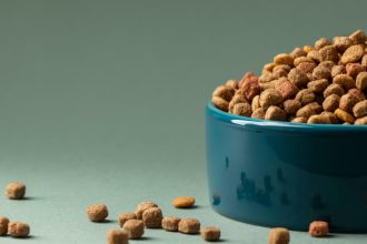 Les croquettes premium pour chiens : un investissement durable dans la santé animale au service des professionnels